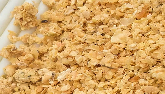 豆粕期貨行情分析，豆粕期貨的手續(xù)