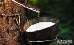 橡膠上漲仍可期，焦炭期現(xiàn)聯(lián)動(dòng)，向