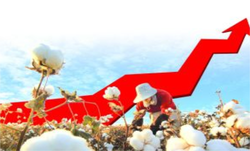 棉花期貨價(jià)格變化和哪些因素有關(guān)？