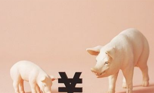 一手生豬期貨交易成本要多少錢？保