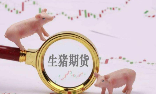 生豬期貨未來走勢(shì)將會(huì)如何？生豬期