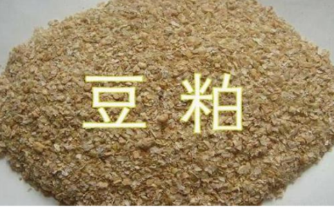 期貨豆粕和菜粕的關聯(lián)性，菜粕豆粕